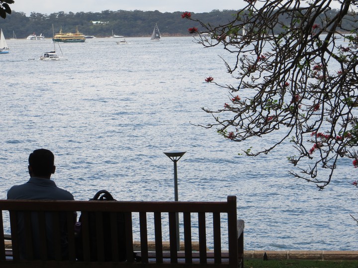sitting on the dock of tue bay