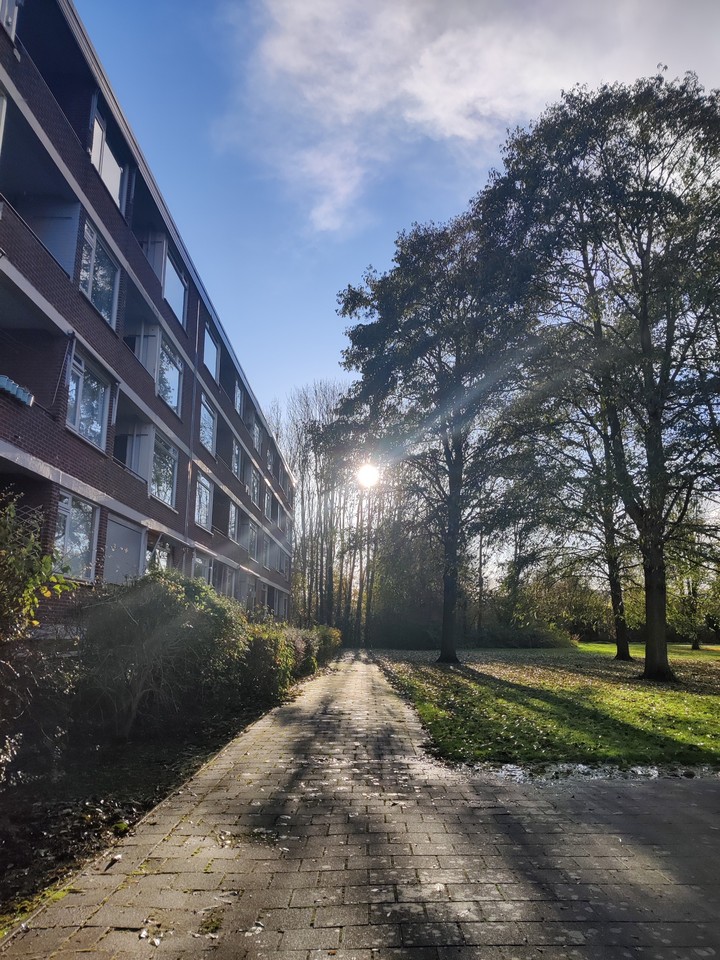 sunny day
