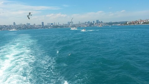 To travel by ferry