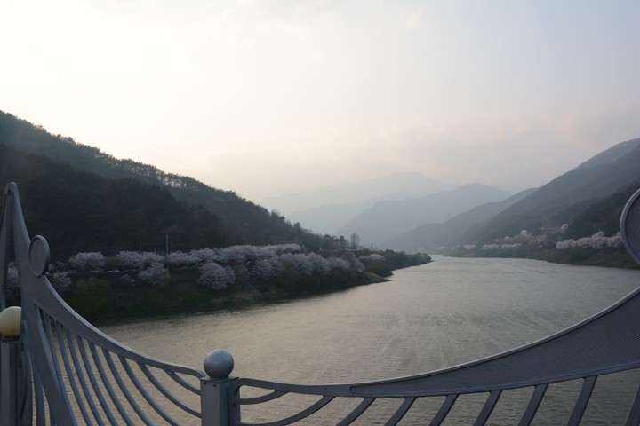 구례의봄이미지