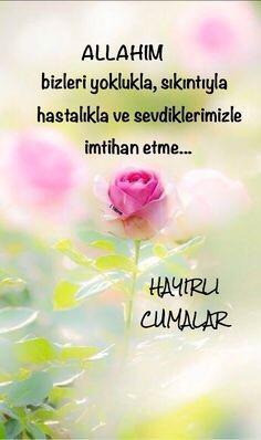 Aminn