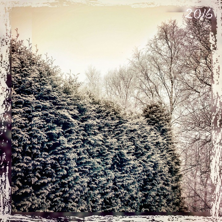 snowy
