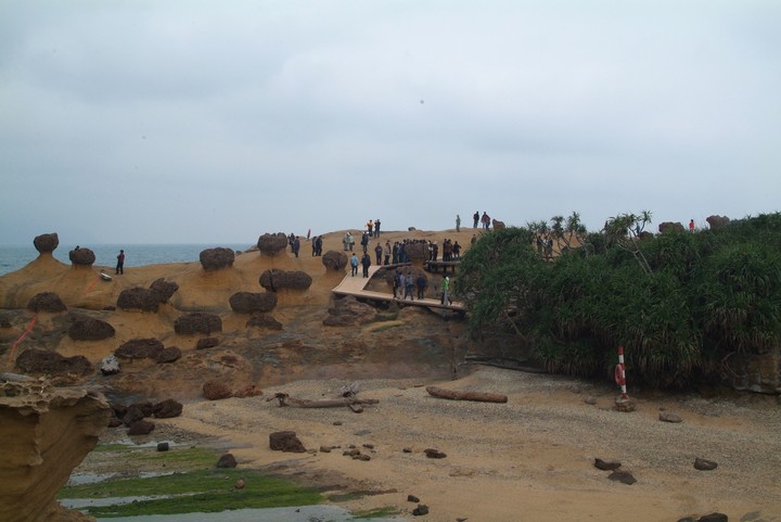 Scenics
