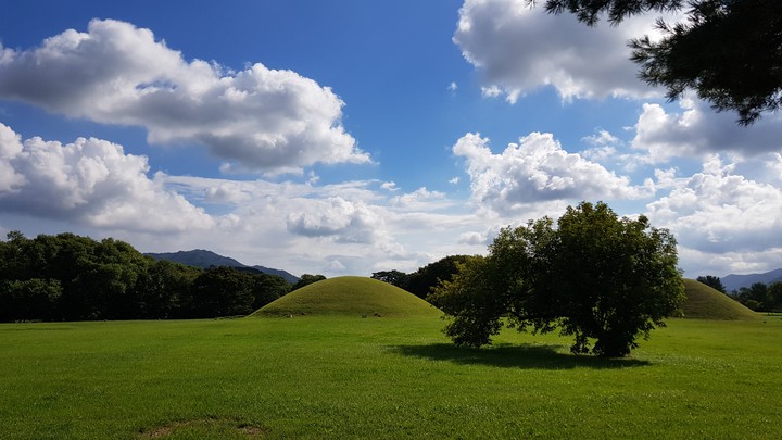경주 고분 ( 천마총, 첨성대 )
