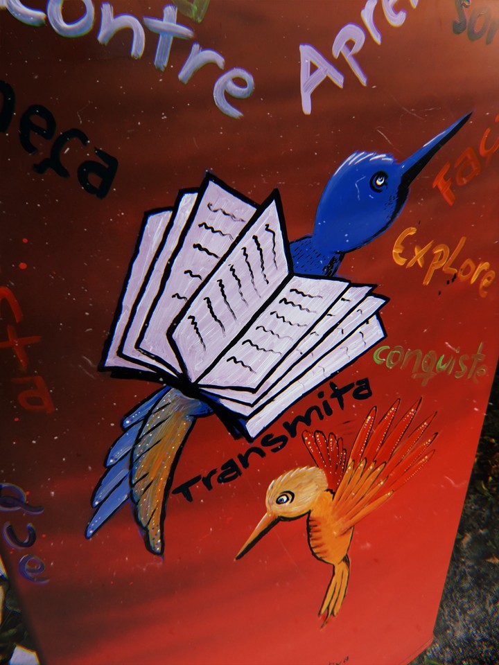 Bird Book