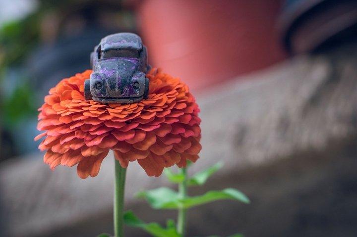 Old toy