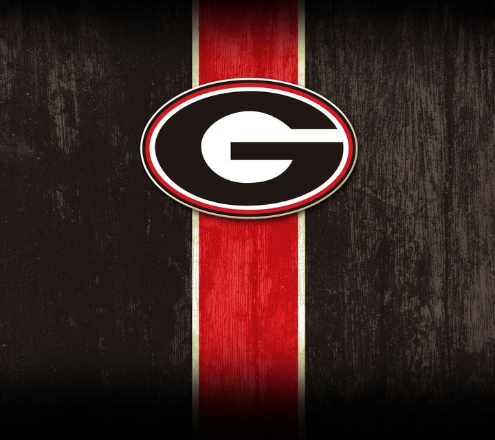 Georgia Bulldogs