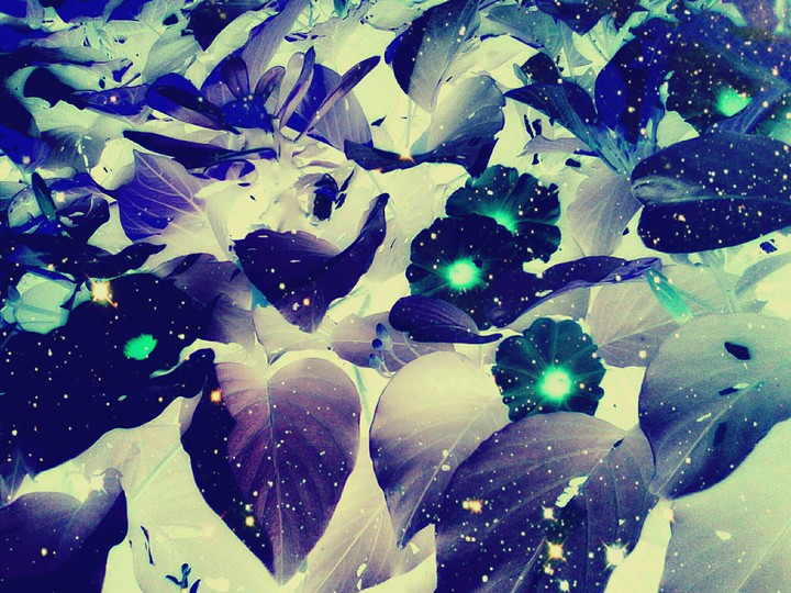 galaxy on earth