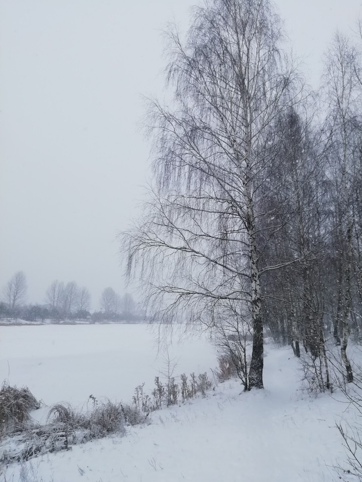 Winter