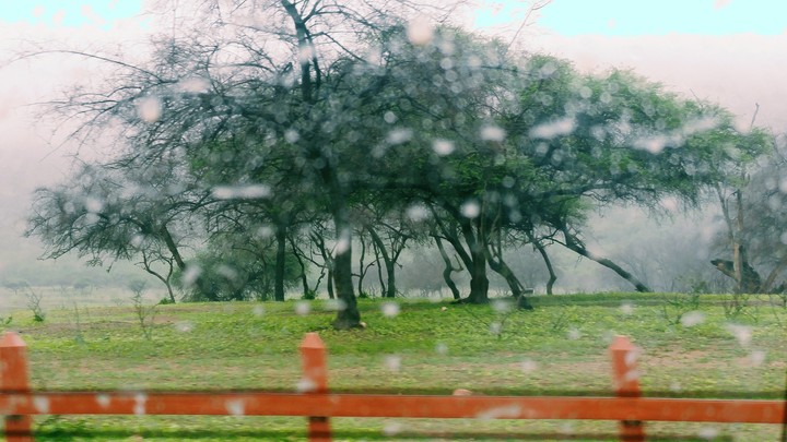 monsoons