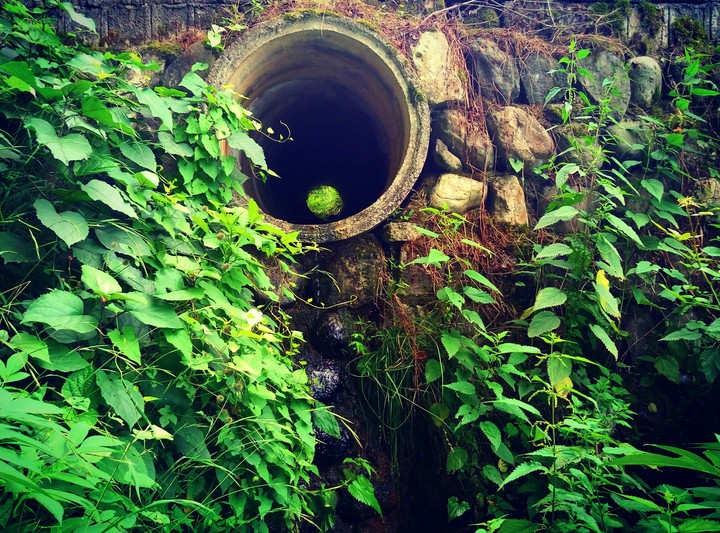 spring is hole