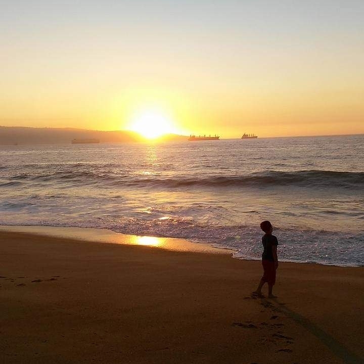 viña del mar