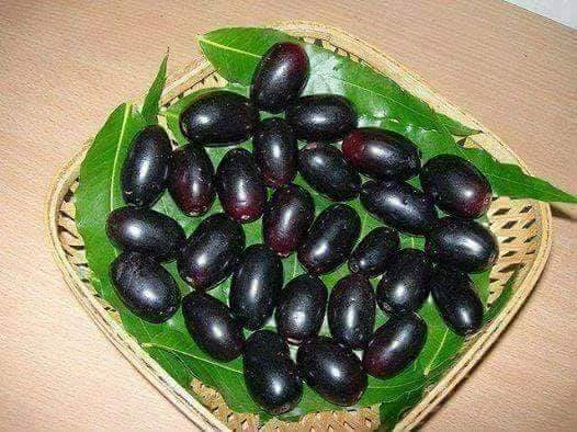 Nerale Fruit