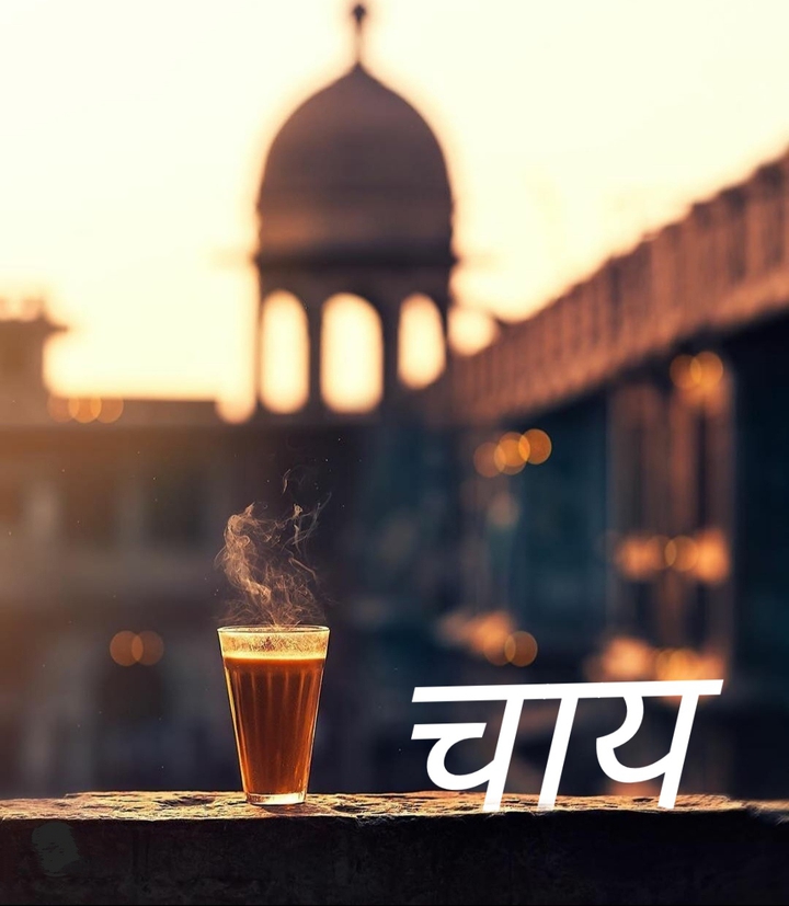 tea lover