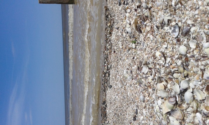 beach 1