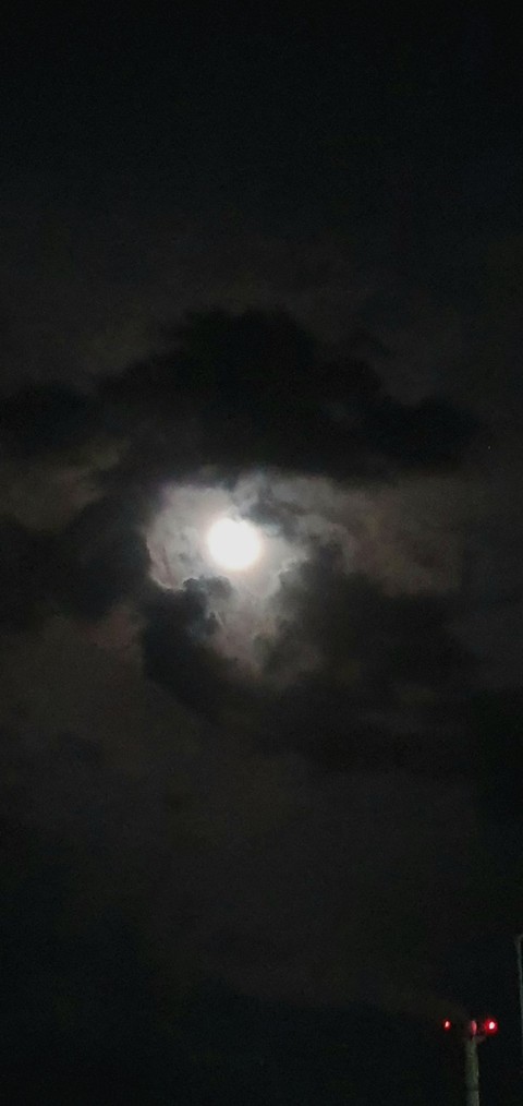 Moonlight