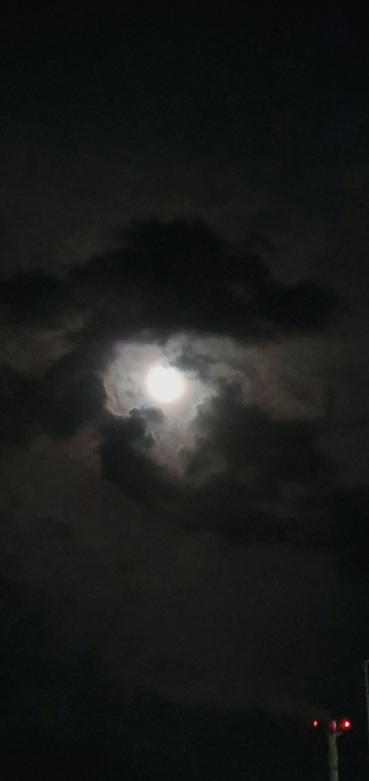Moonlight