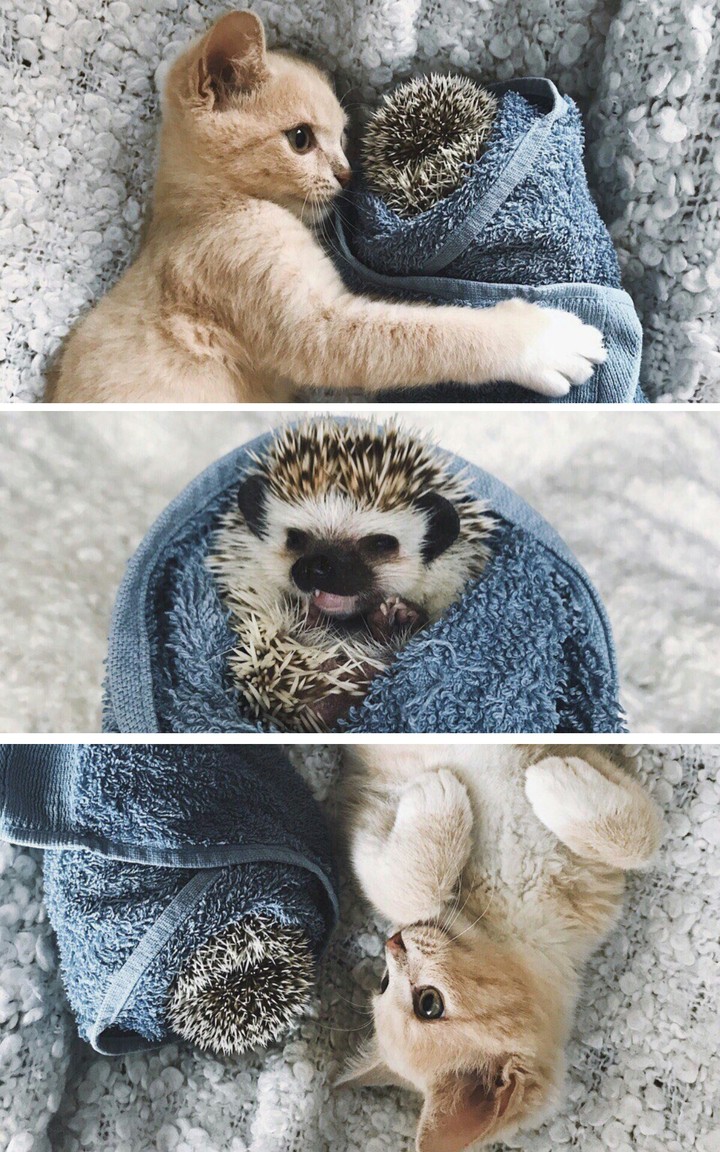 Friends