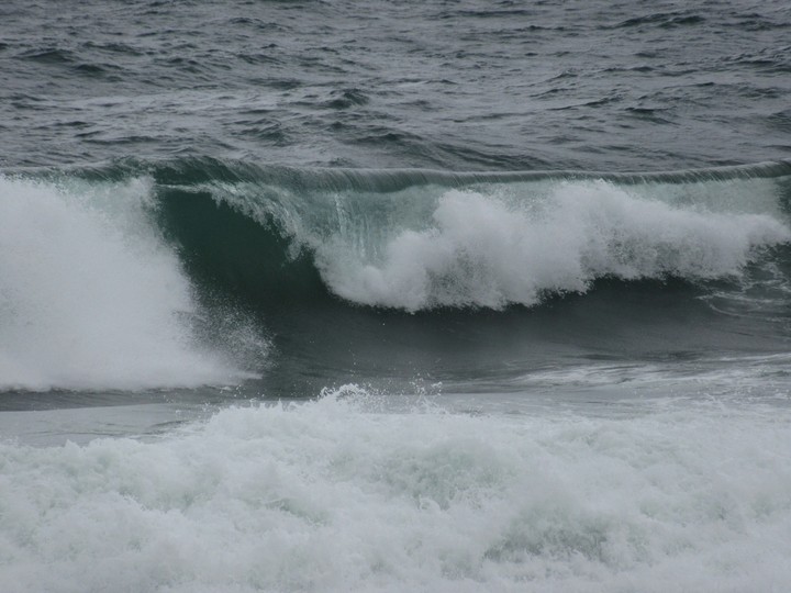 Wave