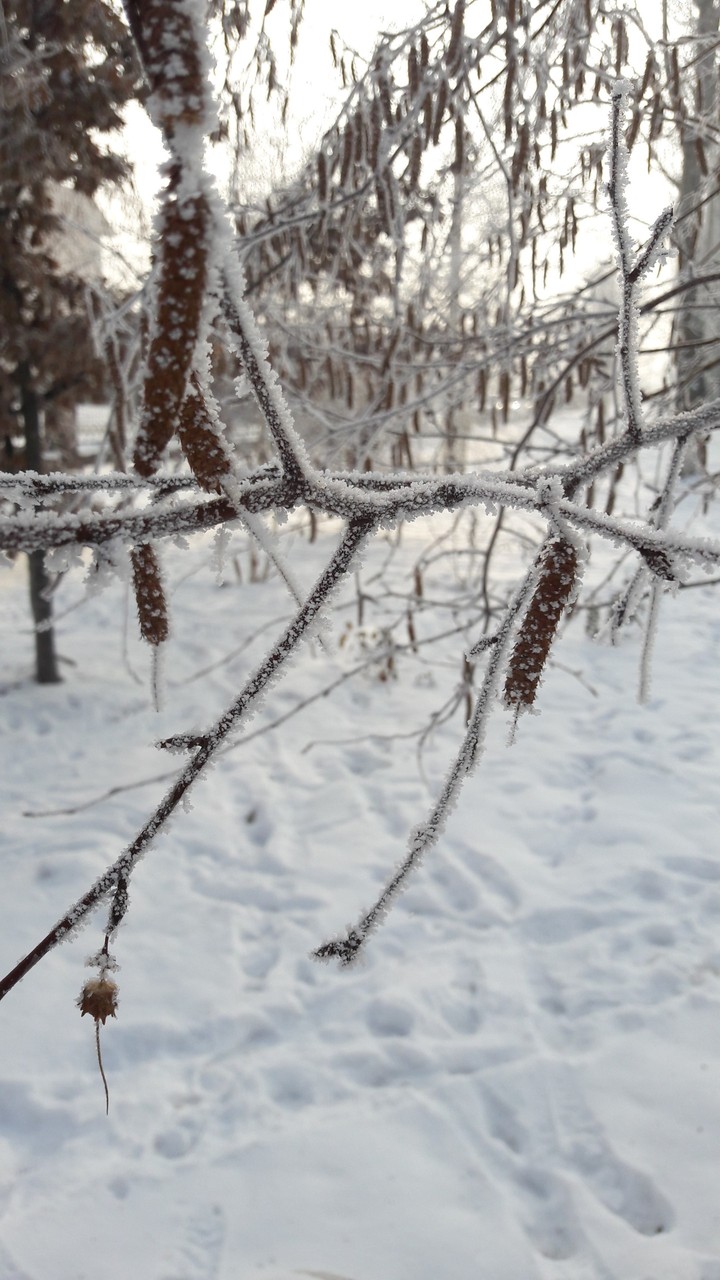 winter