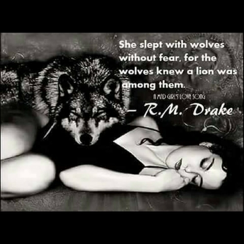 anonymous wolf sec