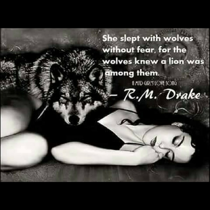 anonymous wolf sec