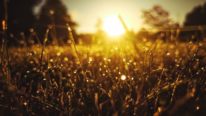 Beautiful Sunrise