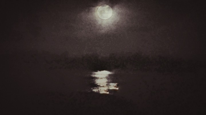 moon lit night