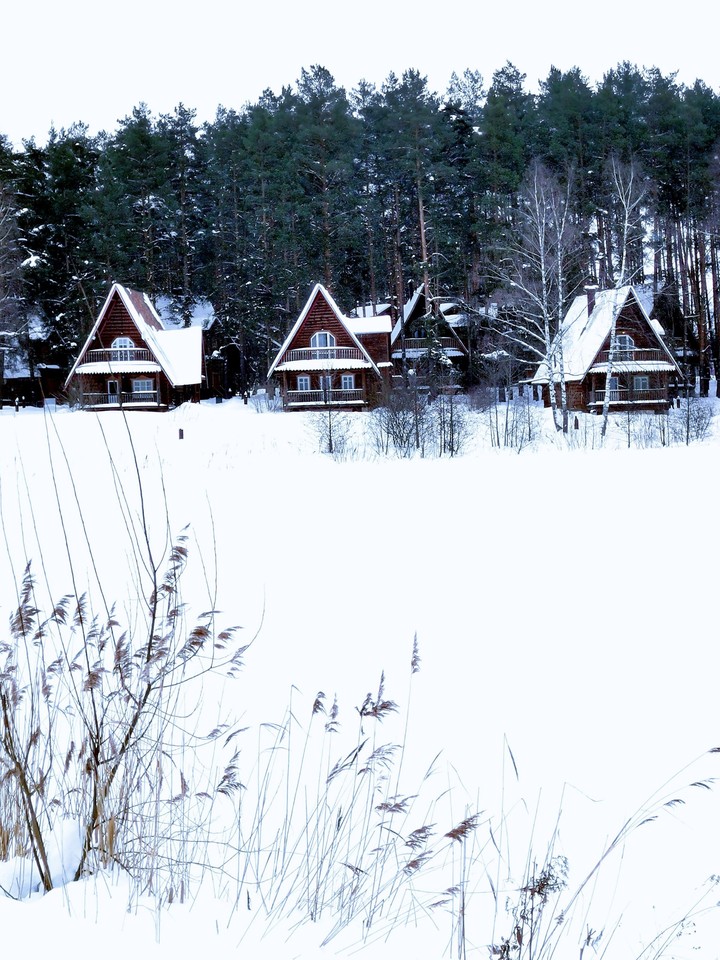 Snowy winter!