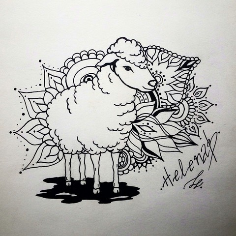 sheep