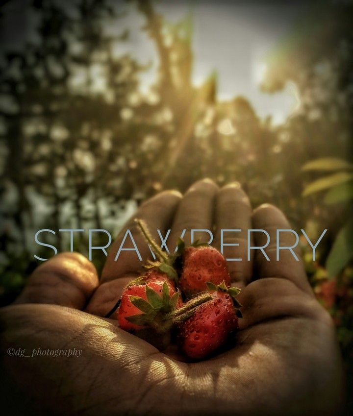 strawberry
