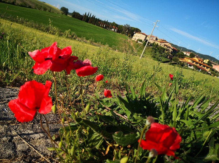 .