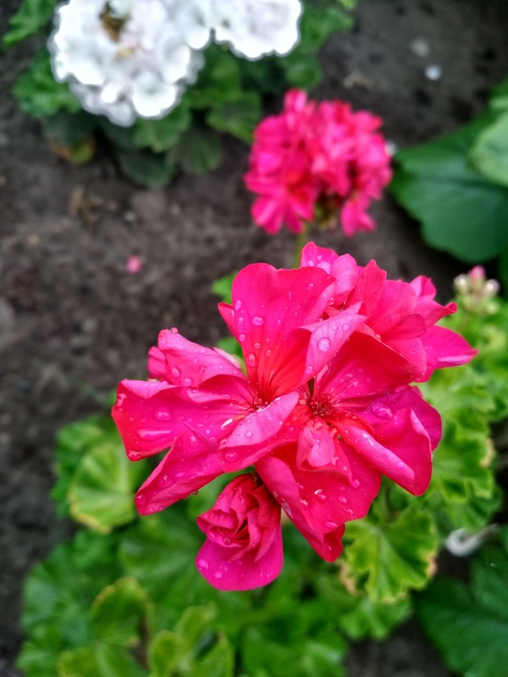 bright