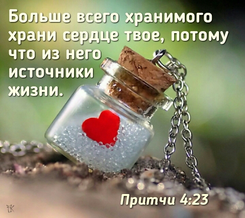 proverbs