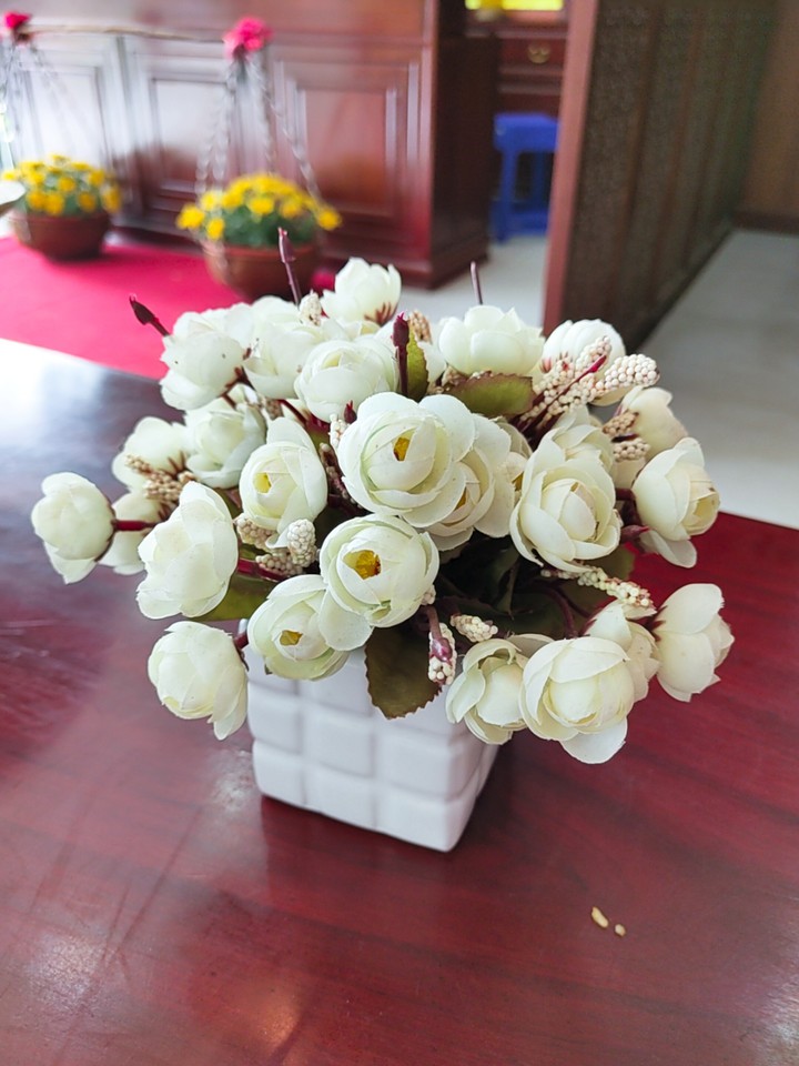 Never die flower