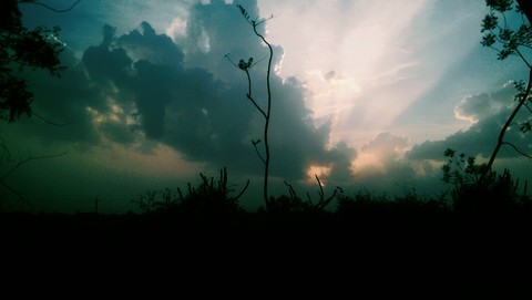 beautiful nature