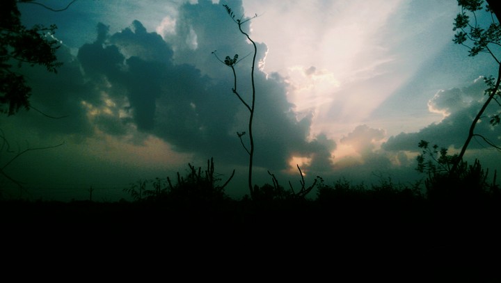 beautiful nature