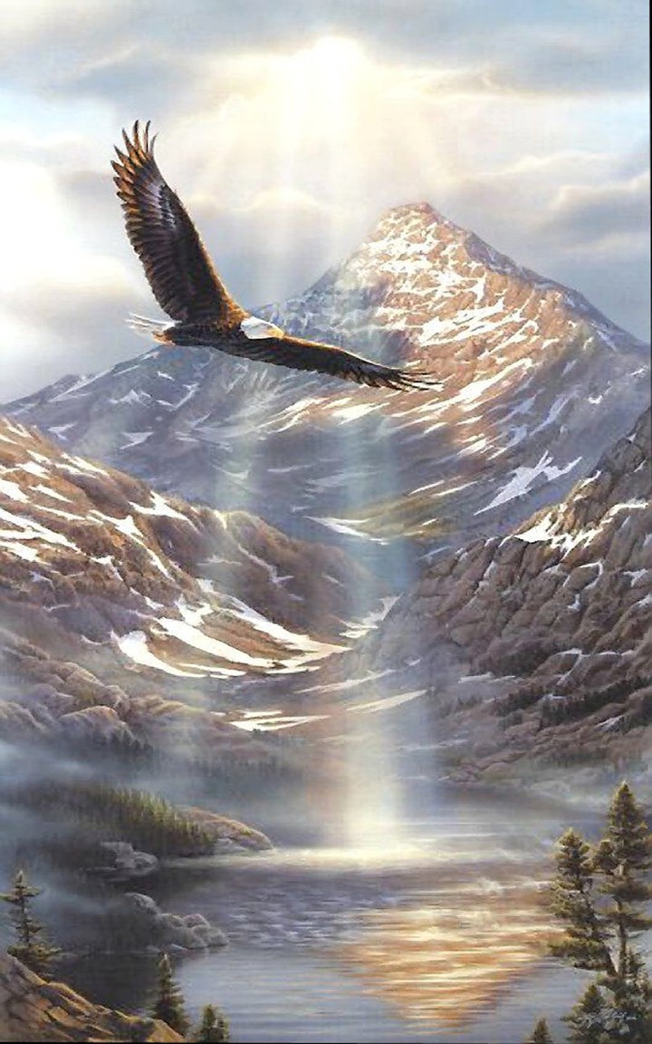 sunshine & Eagle