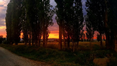 Sunset