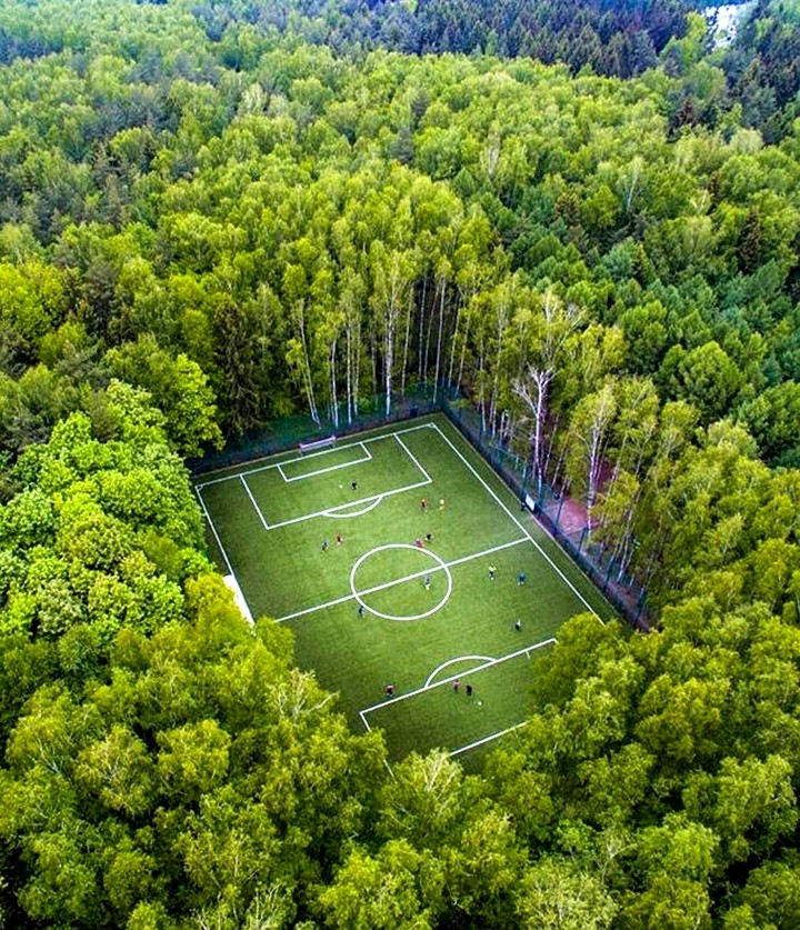 Campo de fútbol