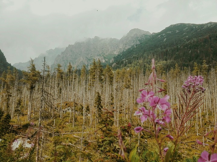 Vysoké Tatry pochod na Štrbské pleso 