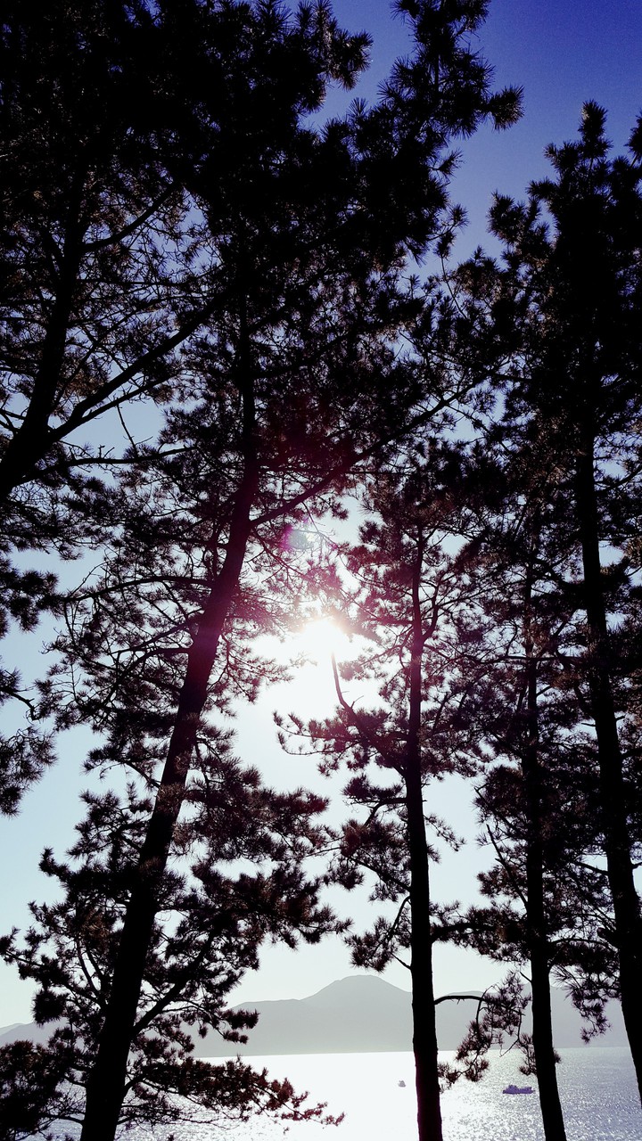 sun