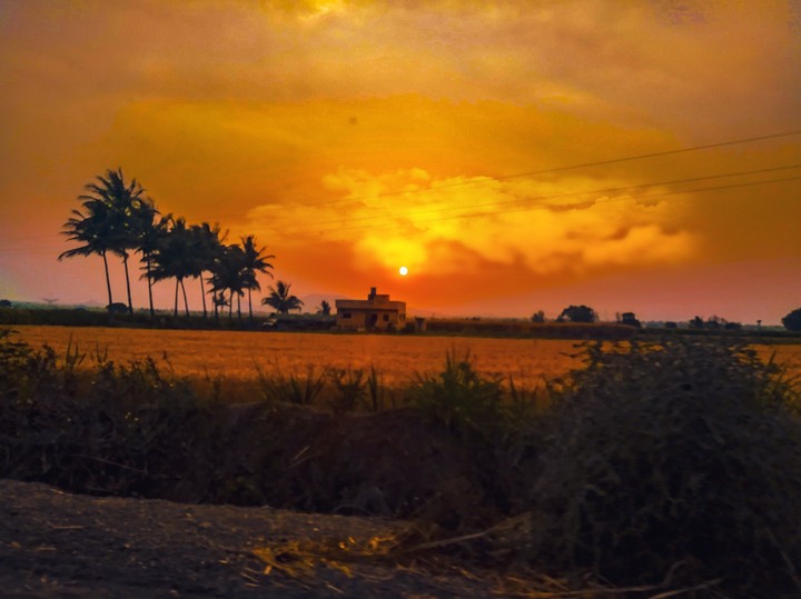 DAWN