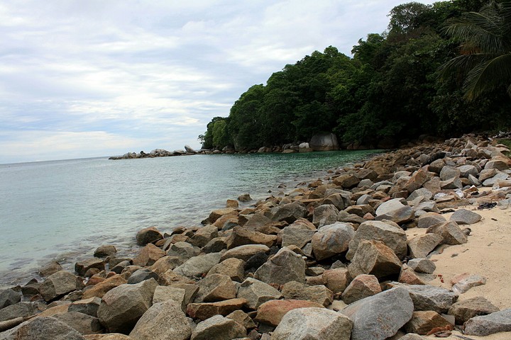 nature
