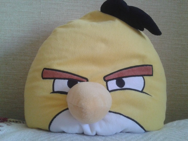 Angry bird