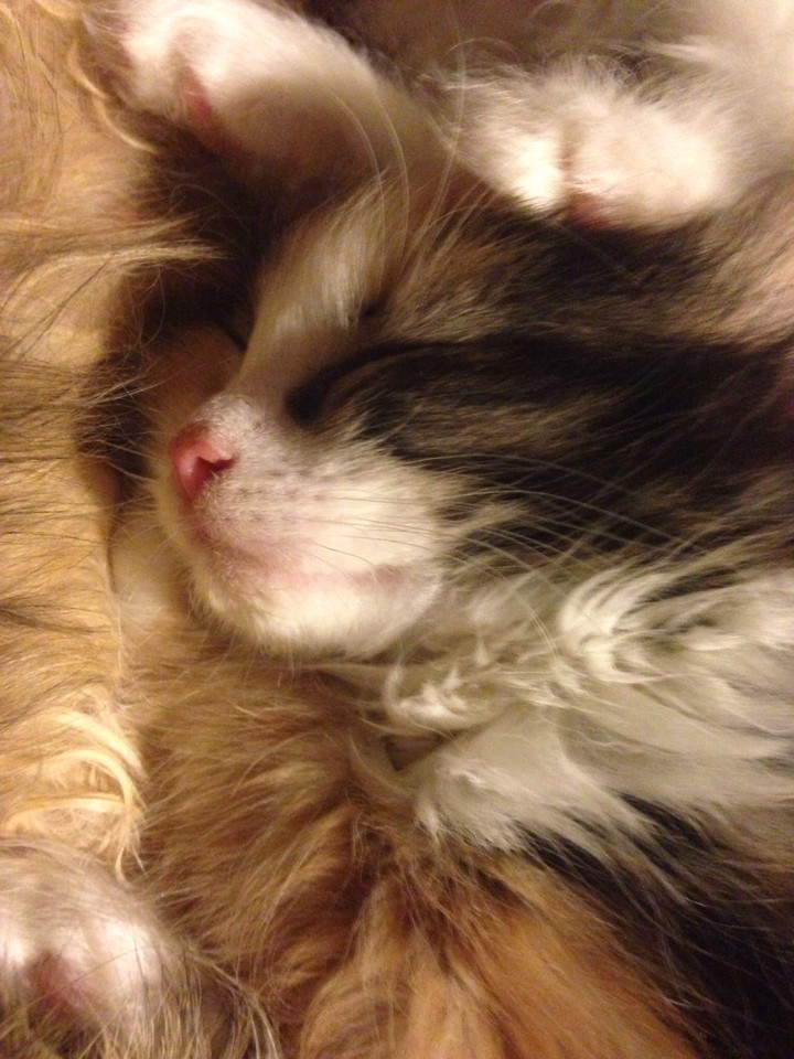 nap time
