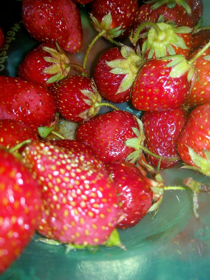 Strawberry