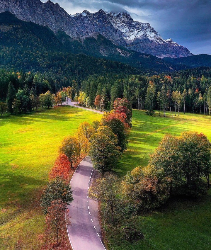 nature