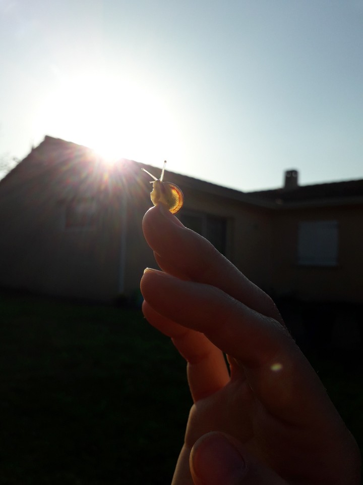 nature