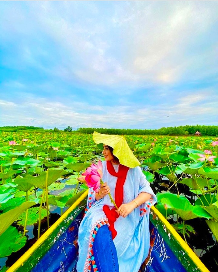 Beautiful swamp "Abkenar"